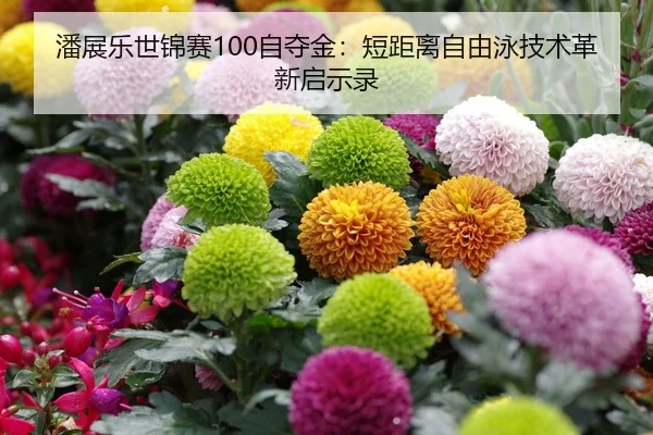 潘展乐世锦赛100自夺金：短距离自由泳技术革新启示录