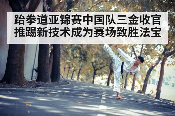 跆拳道亚锦赛中国队三金收官 推踢新技术成为赛场致胜法宝