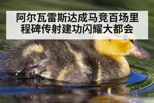 阿尔瓦雷斯达成马竞百场里程碑传射建功闪耀大都会