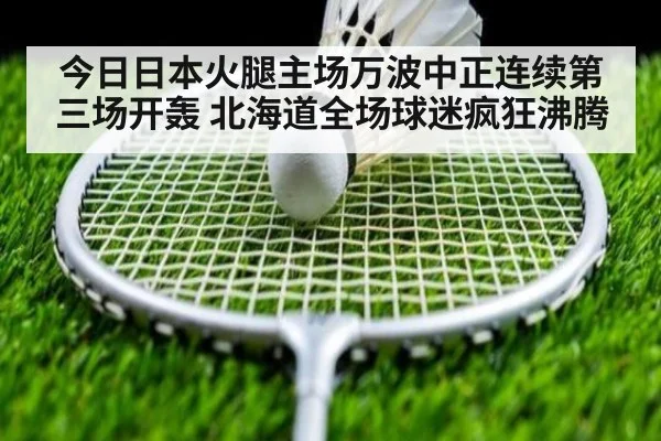 今日日本火腿主场万波中正连续第三场开轰 北海道全场球迷疯狂沸腾